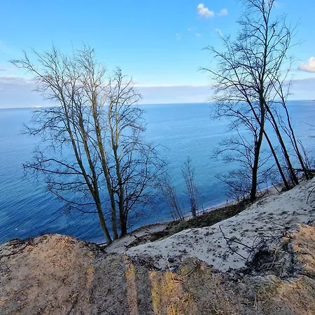 Family Complex In Lägenhet *