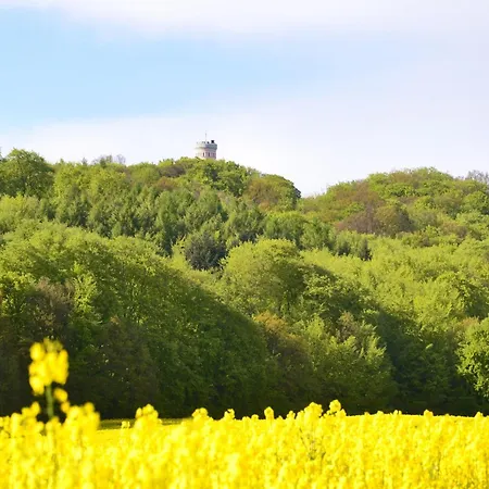 Family Complex In Lägenhet